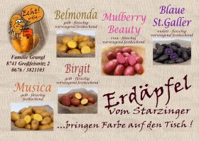Erdäpfel Musica