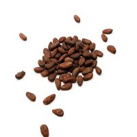 Kakaobohnen 100% – Roh – aus Costa Rica – PUR