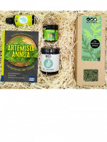 Geschenkbox "Artemisia annua" groß - versandkostenfrei (AT)