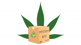 H4CBD Mystery Box