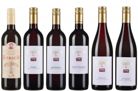 Rotwein Klassik - 6er Weinpaket