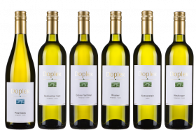 Weißwein Genießer – 6er Weinpaket