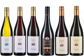 Burgunder-Wein – Exklusiv – 6er Weinpaket
