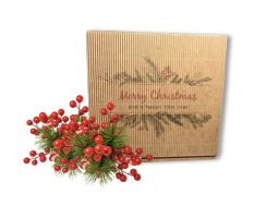 Christmas box1 - limited edition 