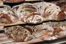 Steinofenbrot ohne Körndeln