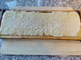 Wabenhonig – direkt vom Bienenstock im Holzrahmen