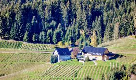 Ferienwohnung Kochs Beeren