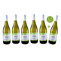 5+1 GRATIS Grüner Veltliner Kremstal DAC 2023 inkl. Versand