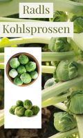 Kohlsprossen, abgeschnitten und geputzt - 200g