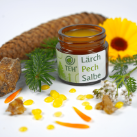 Lärch Pech Salbe