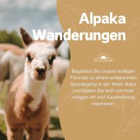 Alpakawanderung mit Picknick
