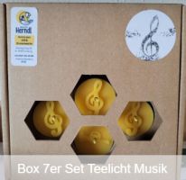 Box 7 Teelicht Musik