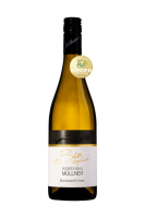 Donauveltliner 2024 GOLD