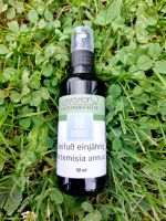 Beifuß artemisia annua-Hydrolat Bio 
