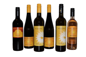 Wein-Probierpaket Reise durch den Keller - versandkostenfrei