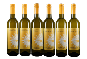 Geschmackvolles Wein-Set inkl. Versand (AT)