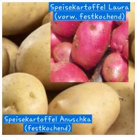 Erdäpfel verschiedene Sorten