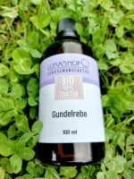 Gundelrebe Tinktur 40 % Bio 