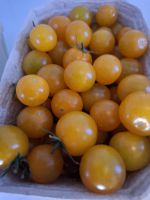 Tomaten frisch vom Hof