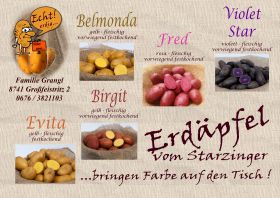 Erdäpfel Fred