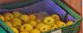 Obst nach Saison
