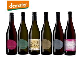 Weingut Hareter - Kennenlernpaket (inkl. Versand AT)