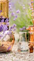 Workshop Gin / Schnaps brennen