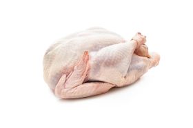 MIni Weihnachtspute ca.5 kg