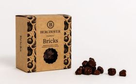 Bricks