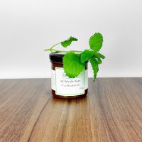 Bio Marillen-Rum-Fruchtaufstrich