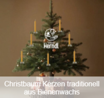 Christbaumkerzen Traditionell - 5 Stück