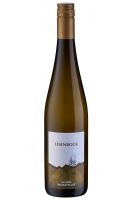 GELBER MUSKATELLER 2025