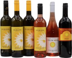Weinset 2024 (inkl. Versand AT)