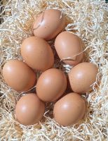Hühnereier 6er