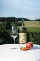 Apfel-Birnen Most 1ltr