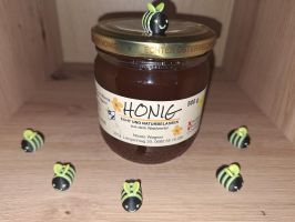 Wagner`s Blütenhonig aus dem Waldviertel