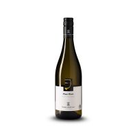 Pinot Blanc Tattendorf DAC 2024 – Bio