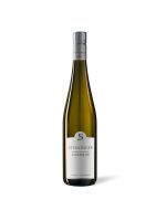 Grüner Veltliner Langenlois Kamptal DAC 2025
