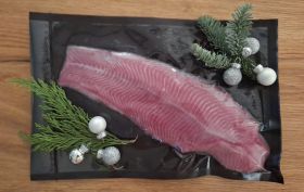 Afrikanischer Wels Filet (Catfish)