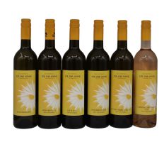 Weinset 2025 (inkl. Versand AT)