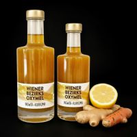Oxymel Ingwer-Kurkuma