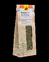 Kräuter für die Pfanne