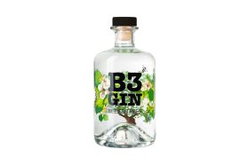 B3 Gin