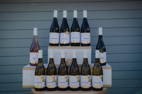 Winzerkeller BIO-Paket