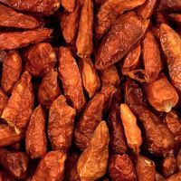 Bird's Eye Chili ganz