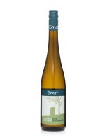 Grüner Veltliner Ried Hohenberg 2025 Wagram DAC