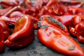 Gegrillter milder roter Paprika