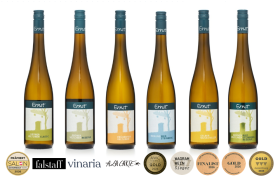 Siegerpaket - Weingut Ernst (inkl. Versand AT)