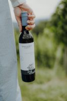 Sauvignon Blanc Leutschach Südsteiermark DAC 2025