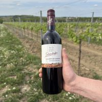 Blauer Portugieser 2024